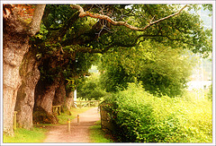 natureza